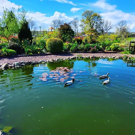 Bed and Breakfast L'ombragee Au Doux Refuge Courtonne-la-Meurdrac